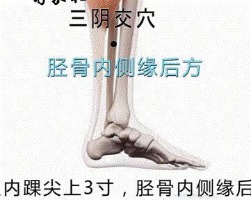 失眠穴位图解大全集,清心火调失眠穴位董氏奇穴
