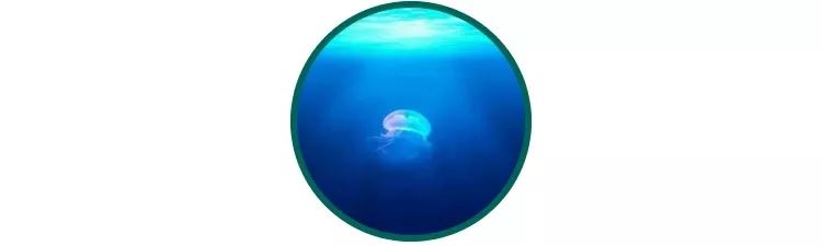 精华越贵越好用,精华越贵越好这8款好用还不贵