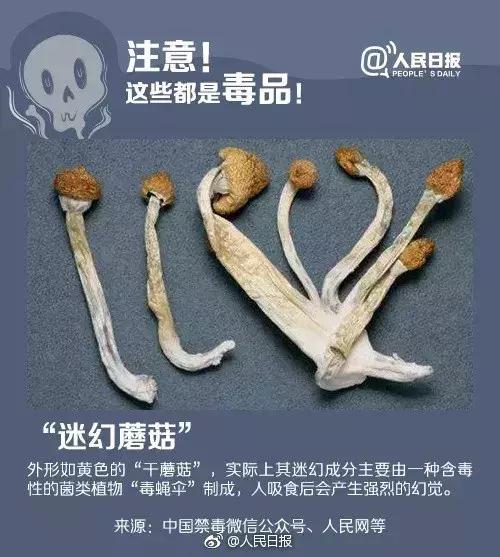 新型违禁品毒品有哪些,新型毒品与违禁药物