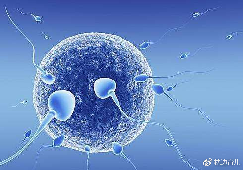孕妈妈记录怀孕的日记,怀孕1到10个月怀孕日记