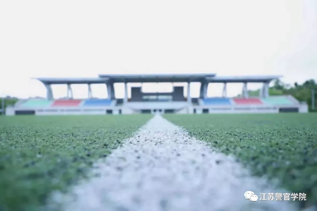 二学历是什么性质,第二学历是什么学位