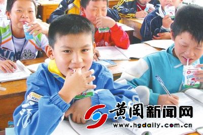 伊利学生奶宣传标语,营养奶学生伊利