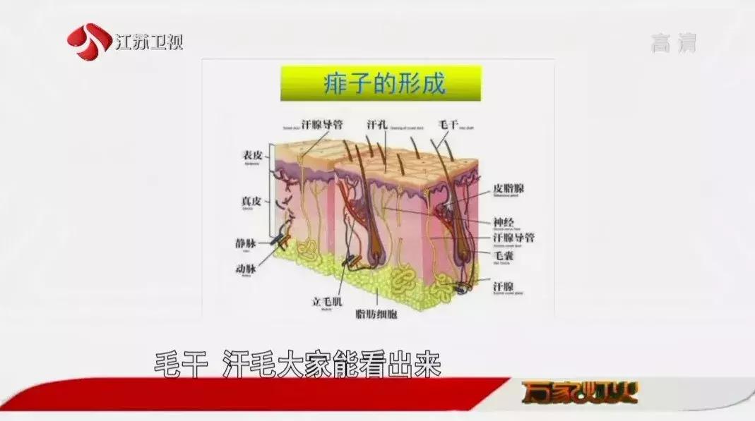 季节更替怎么预防皮肤病,皮肤病痒疹的注意事项