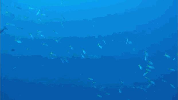 潜水安全防护知识,潜水安全知识