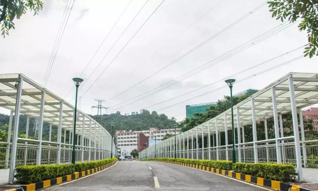 为什么深职院这么出名,深职院为什么全国第一