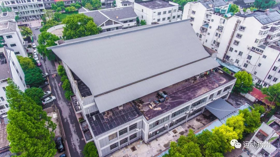 省运会开幕在即，扬州人身份证太管用了，可免费做这些事……