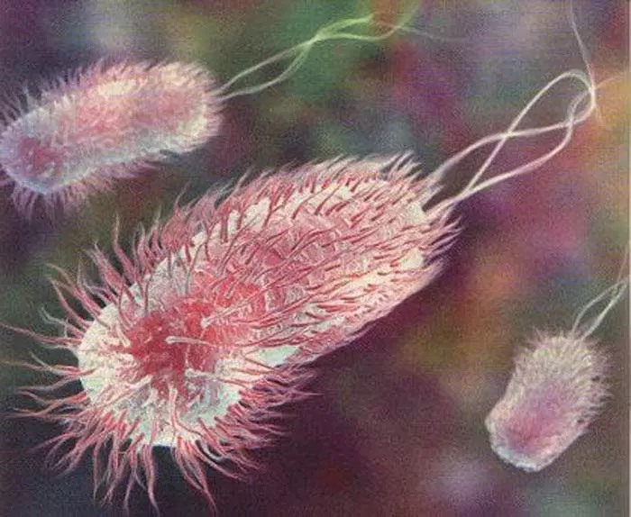 一些不存在的生物,无处不在的微生物究竟靠啥活着呢