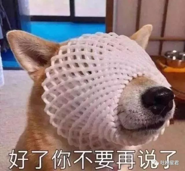 女子买了一双500的鞋,gucci鞋鞋带