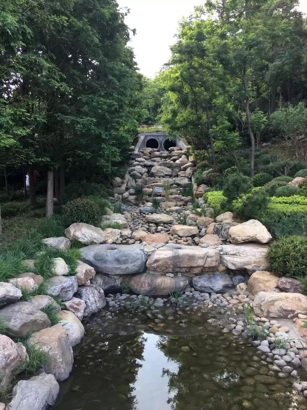 大连人最熟悉的“植物园”做了一次“整容”！一睹为快！