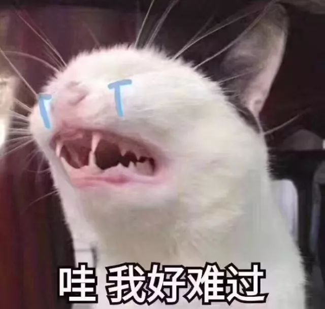 “今天忘穿内衣了？”这个日本内衣，舒适到像是与自己进行二次接触