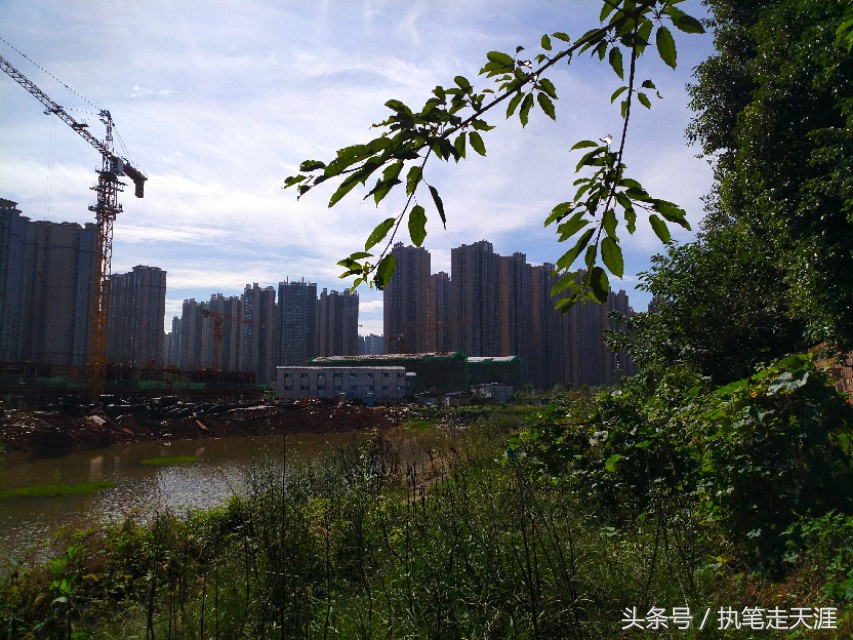 成都世茂城最好房评测,金九楼市大爆发