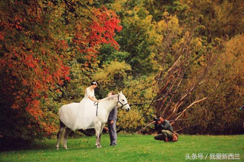新西兰是不是最美丽的地方,新西兰到底有什么好玩
