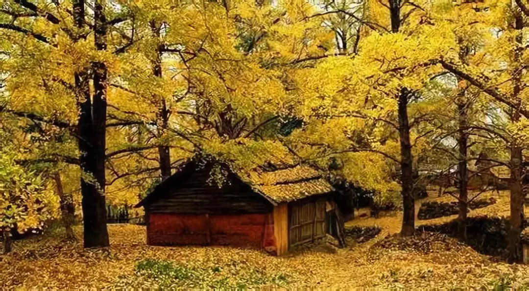 广西秋天最美的地方,广西秋天旅游景点推荐