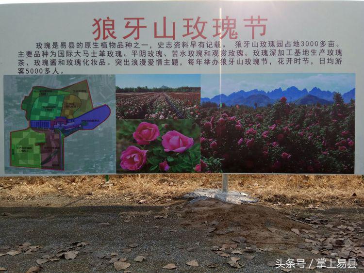 易县狼牙山,易县狼牙山镇