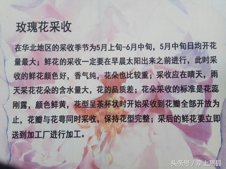 易县狼牙山,易县狼牙山镇