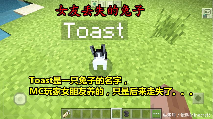 minecraft命名牌彩蛋,我的世界网易版命名牌彩蛋猪神