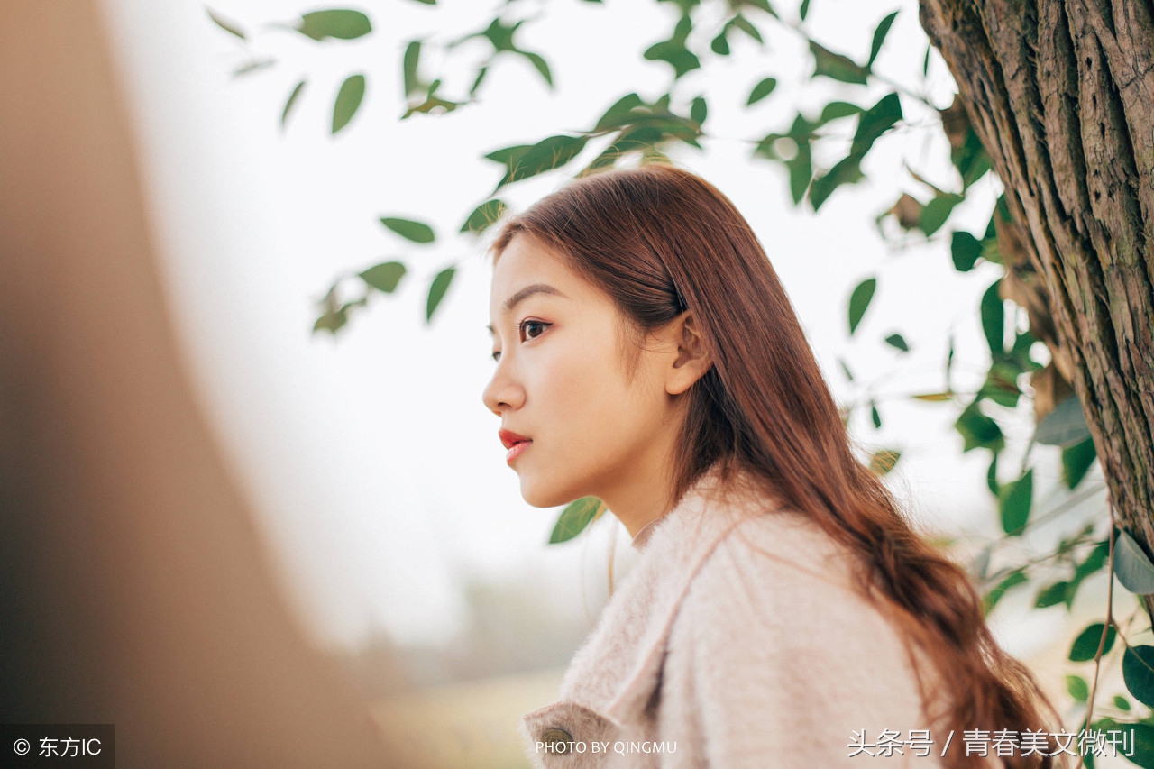 对你的爱就像日落一样,对你的爱如同海一般一望无际