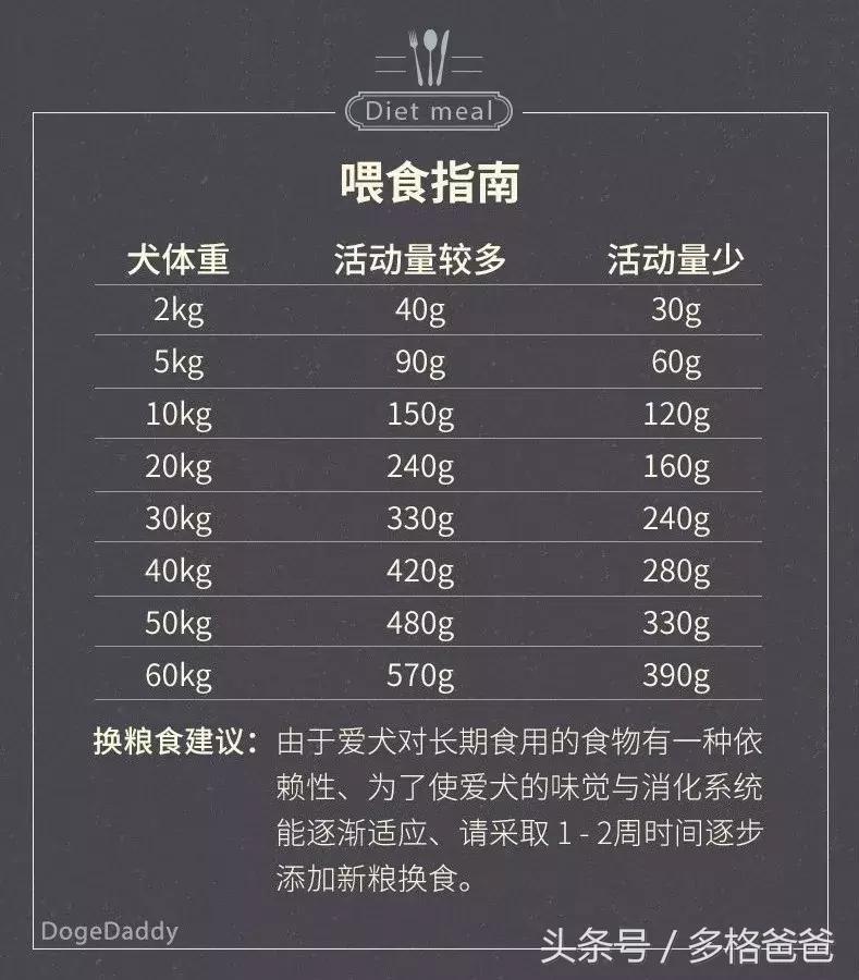 犬舍买狗需要注意什么问题和细节,买幼犬要注意哪些