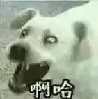 ladygaga结婚了吗,ladygaga被曝与男友订婚