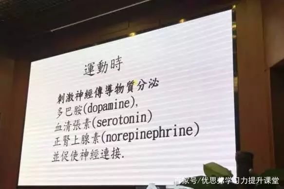 脑科学专家说如何发掘大脑潜能,脑科学家讲座视频