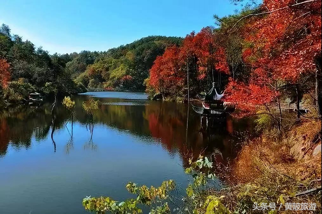 秋色正当时,实时秋色美景