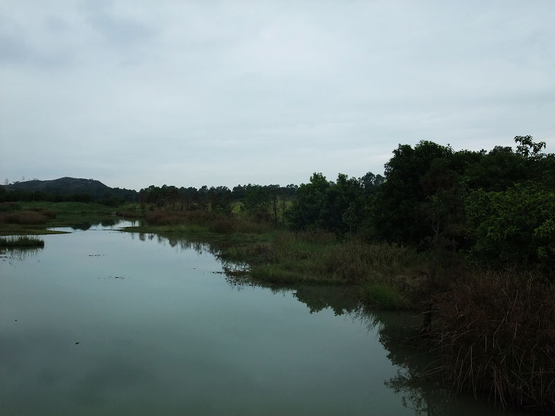 穷驴旅游,港囧游香港