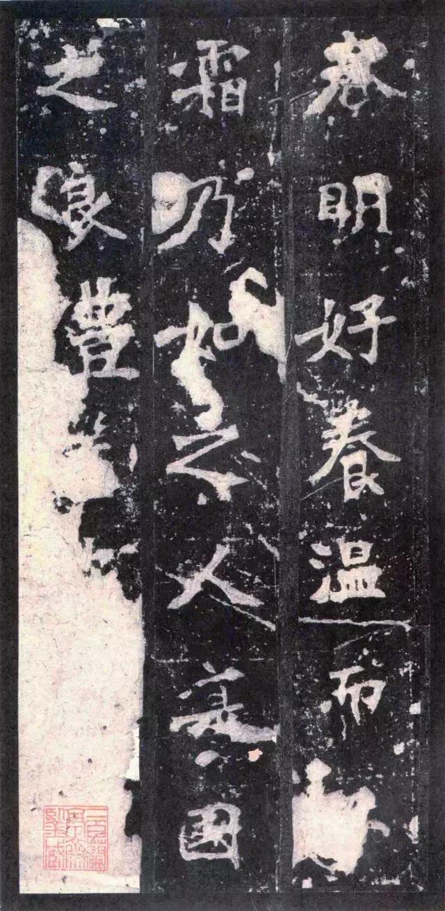 「二玄社原色法帖」《张猛龙碑》高清版本欣赏，收藏级！