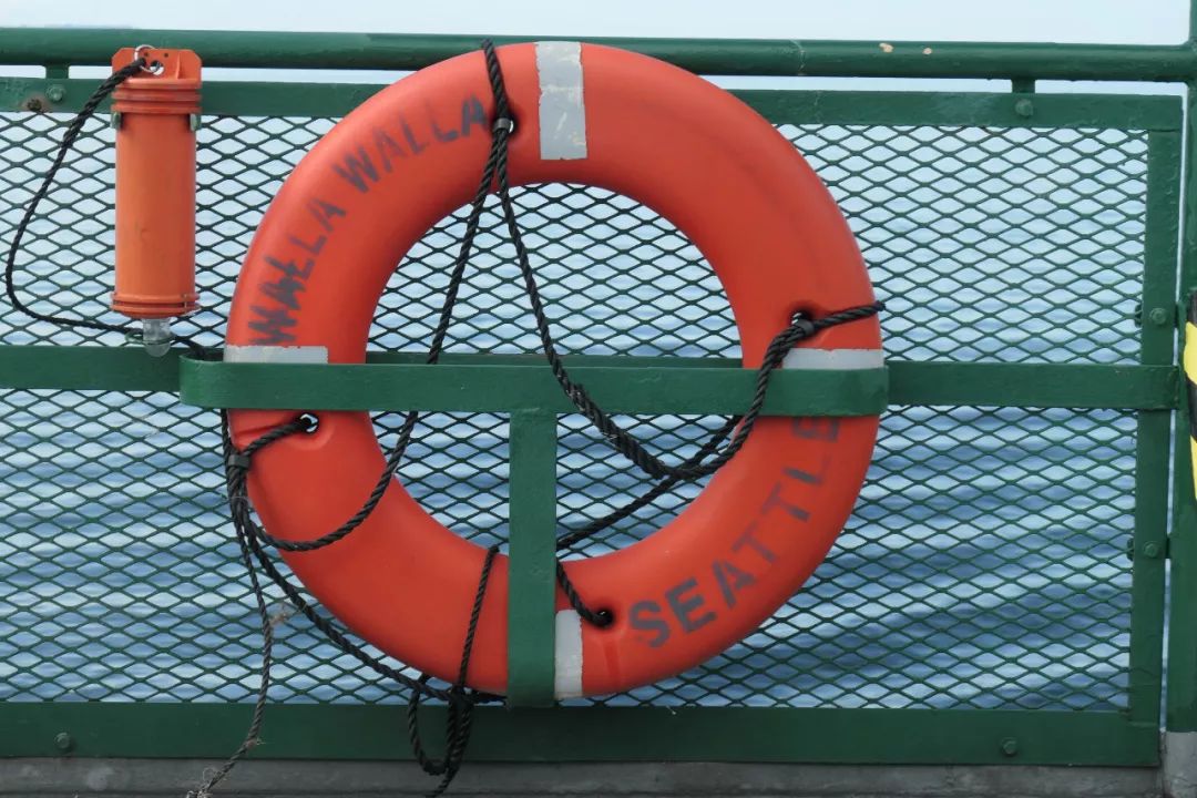 松下zs110和zs200,松下zs10翻转屏拍照测评