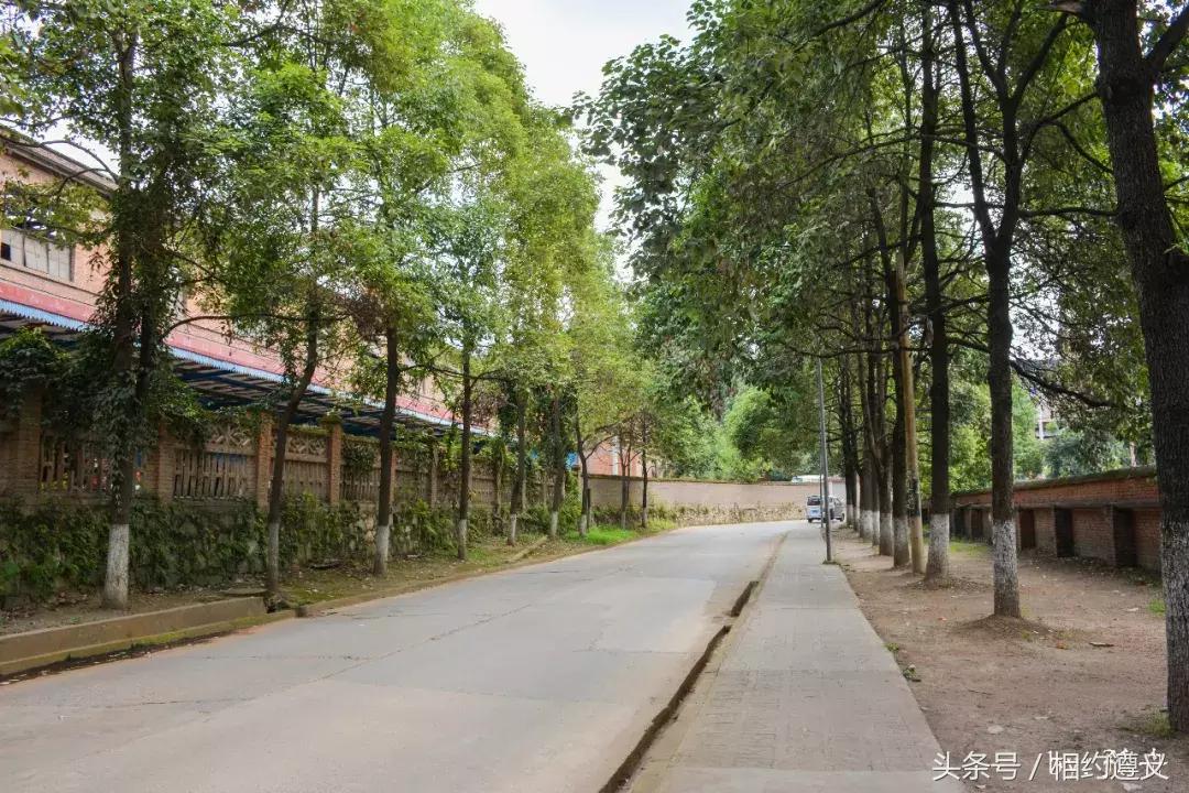 遵义八七厂的照片,遵义八七厂做什么的