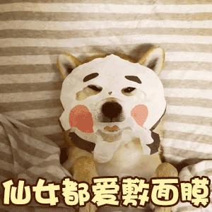 黑白膜和无敌膜怎么区分,双色膜和三色膜的区别
