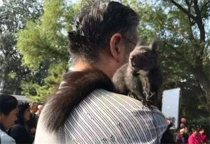 孤独老人养什么宠物,孤独老人养一只鹅作伴