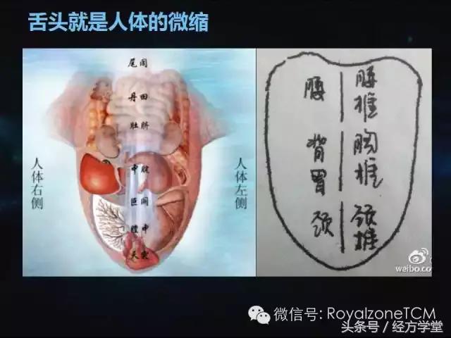 小熊医生,小熊医生舌诊