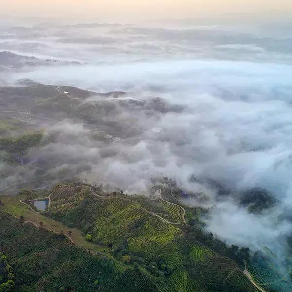 大悟，一个和婺源相媲美的地方，等了一整年的最红秋色终于来了！