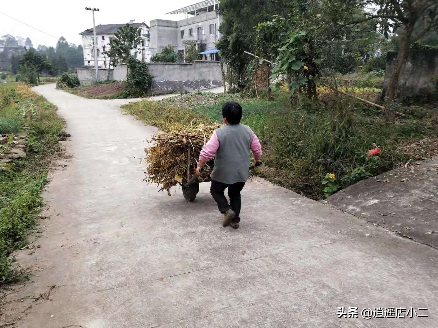 留在农村的理由,留在农村有什么生意可以做