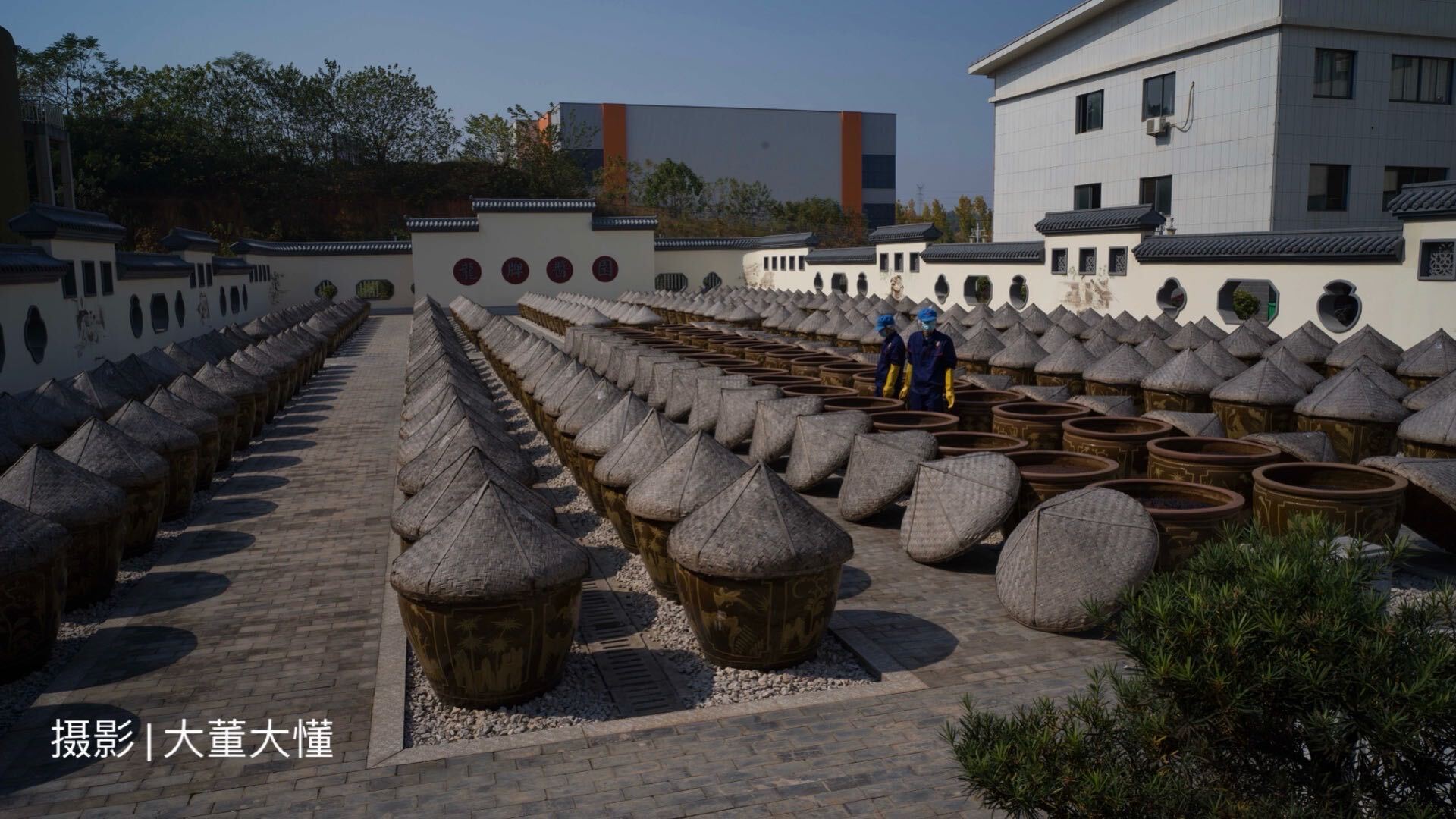 真龙海韵龙牌,龙牌酱油以前叫龙凤酱油