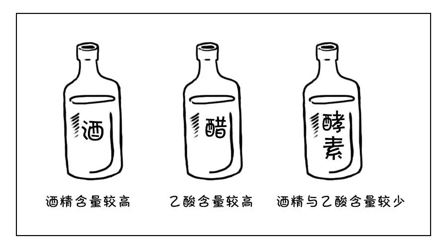 一月酒，二月醋，三月竟成酵素？