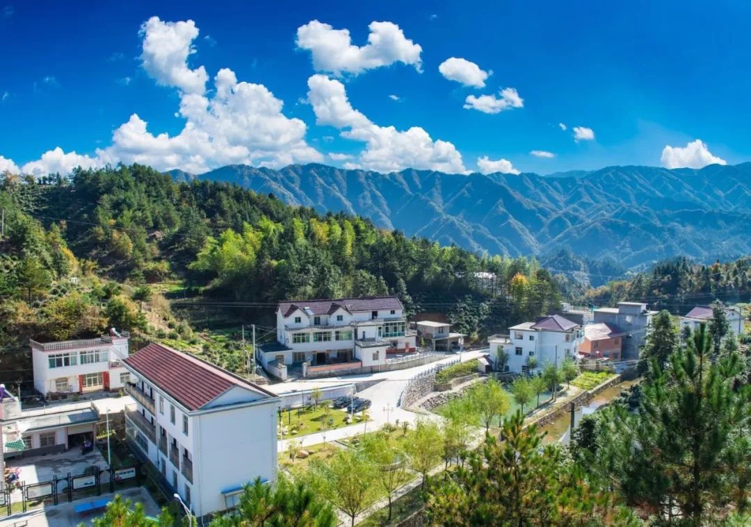 美丽乡村看电视台直播,美丽庭院看乡村直播间