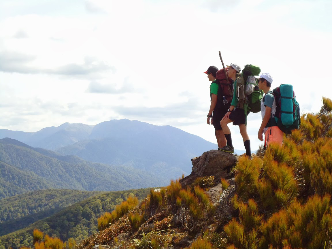 你的学习阶段，可以申请澳新的什么学历？