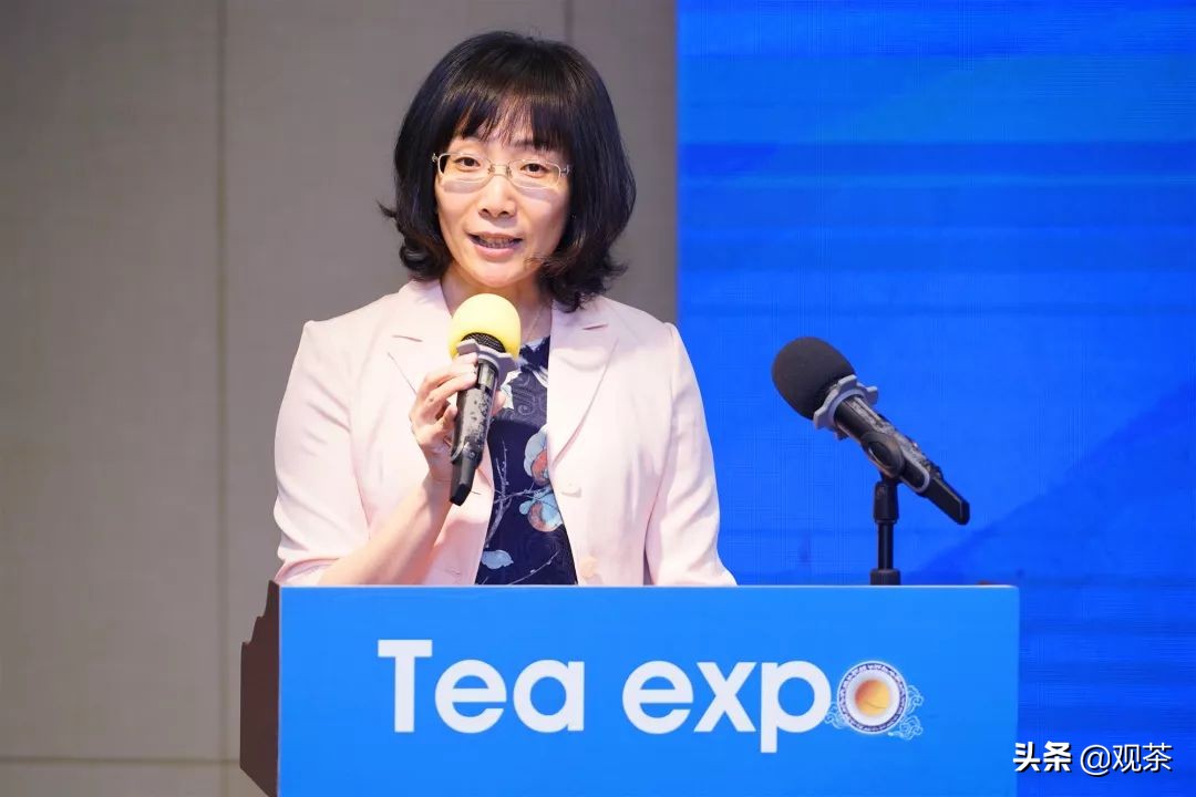 珠海国际茶博会展览会,2020年茶博会珠海开放时间