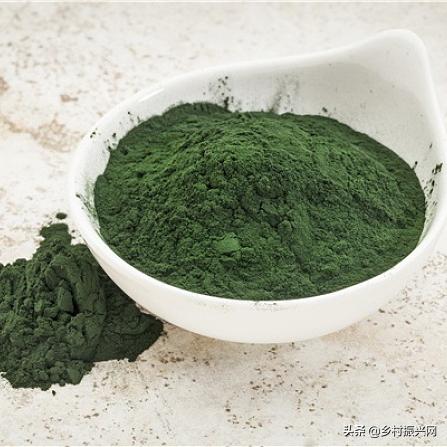 昆虫薯片,昆虫零食香辣