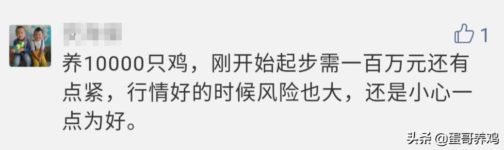 养10000只下蛋鸡一年收入,养1万只蛋鸡的利润