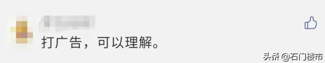 近30天逾350人看房！洋味足却有bug！中介说：采光不太好