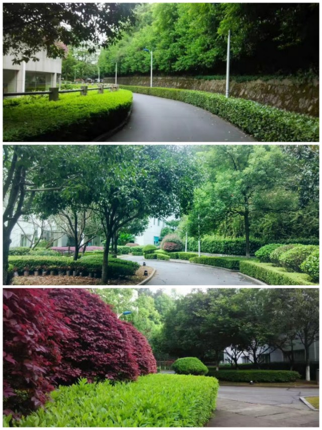芙蓉国里尽朝晖三湘四水好风景,同升湖通程山庄大酒店还在营业吗