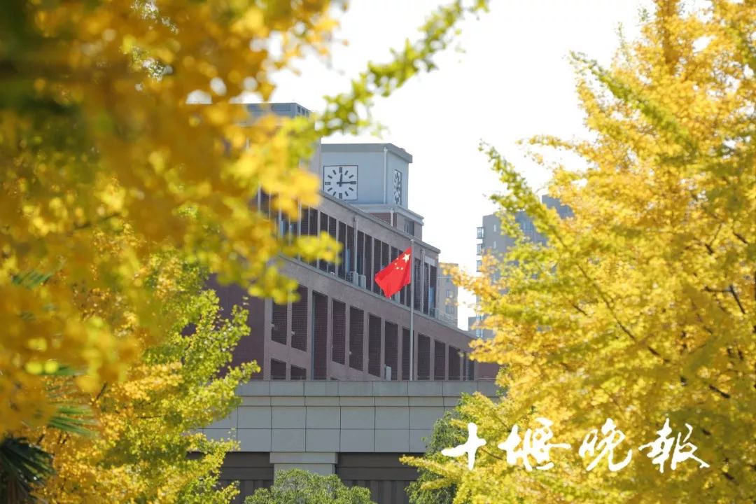 十堰银杏风景区在哪里,十堰银杏景点