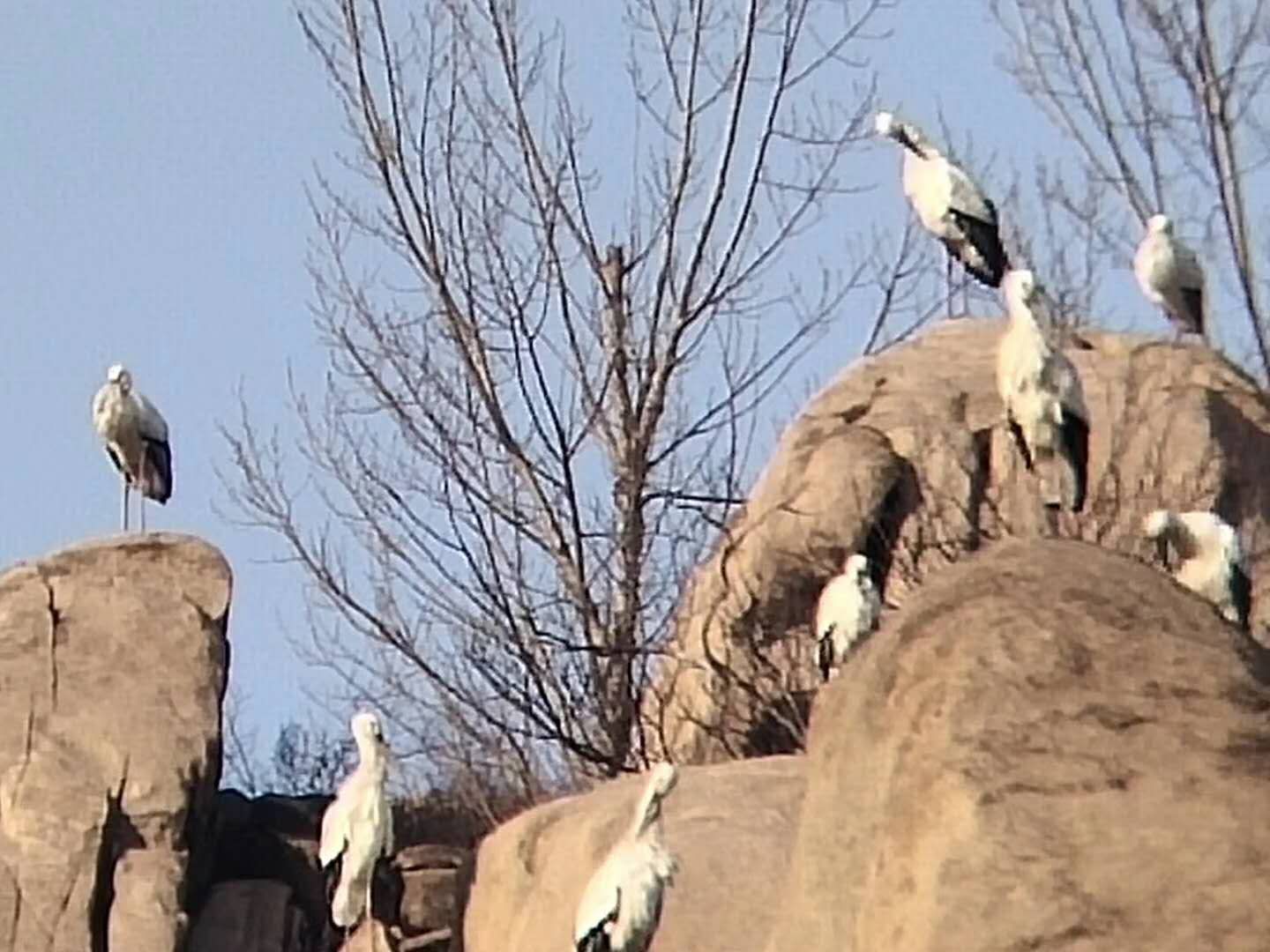 大美徂徕山,徂徕山美景如画