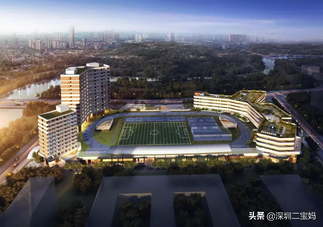 深圳2021年新增公办普高有哪些,2021深圳新增的公办高中