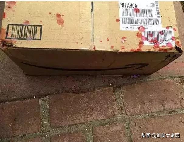 寄包裹去加拿大,寄加拿大包裹加拿大收税吗