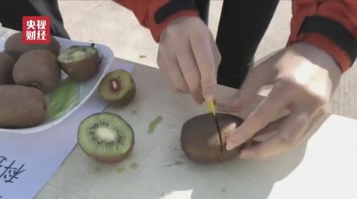 没想到我们经常吃的猕猴桃竟然是这样送到各个城市的