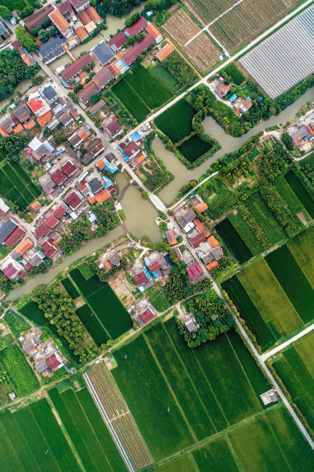 江南粮仓是哪个省的,浙江嘉兴市江南第一大镇