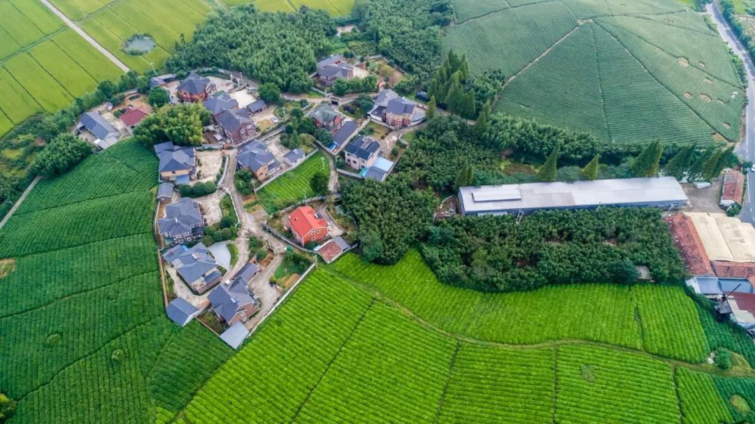 浙江网红村落建设,浙江网红村庄有哪几个